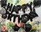 Sweet 29th Birthday Decorations – Black Number 29 Foil Mylar Balloons & Party Supplies Set for Girls, Women, Men, Photo Props (Black)